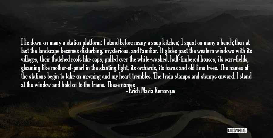 Past Youth Quotes By Erich Maria Remarque