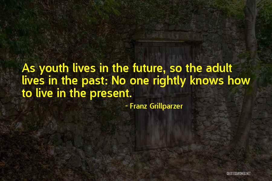 Past Youth Quotes By Franz Grillparzer