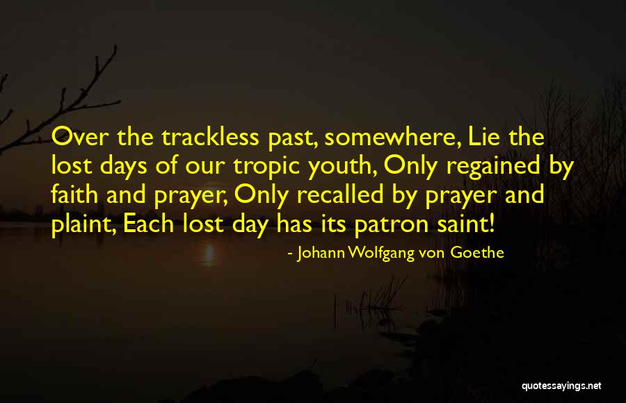 Past Youth Quotes By Johann Wolfgang Von Goethe