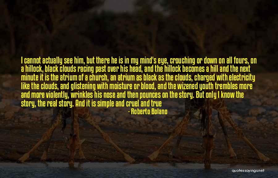 Past Youth Quotes By Roberto Bolano