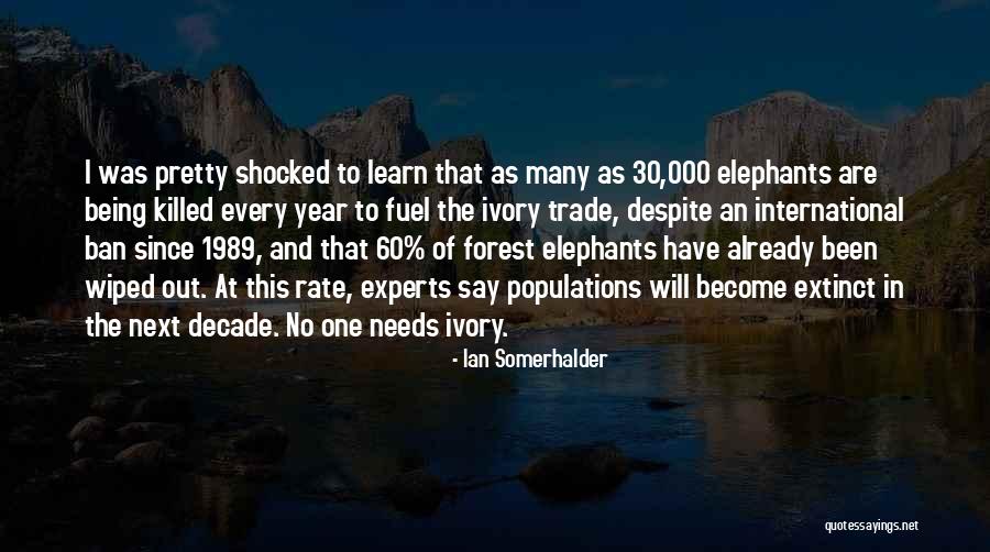 Pastalini Quotes By Ian Somerhalder Pastalini Quotes By Ian Somerhalder
