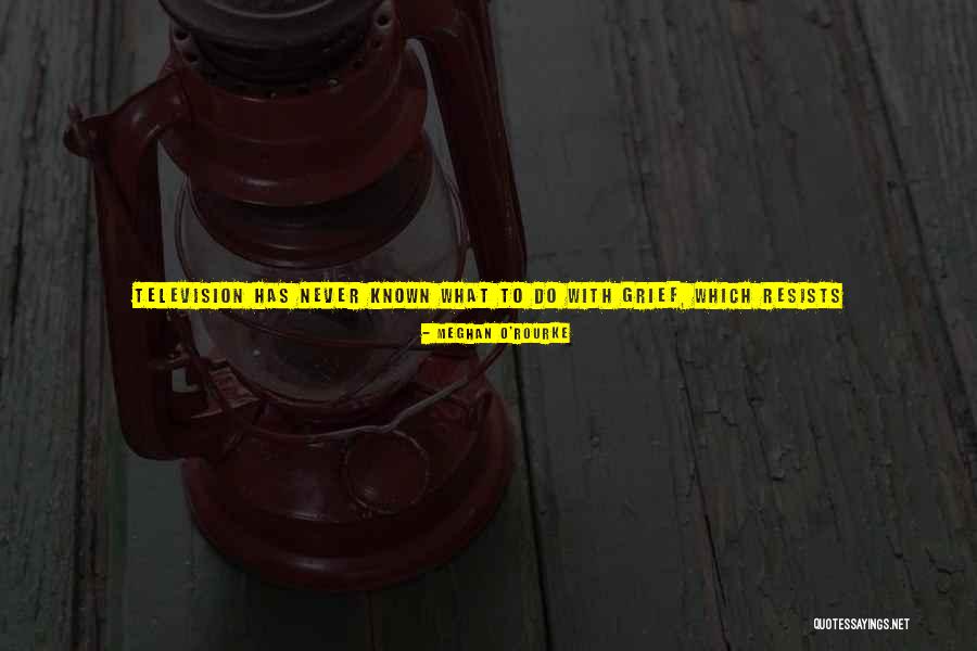 Pasteles Puertorriquenos Quotes By Meghan O'Rourke Pasteles Puertorriquenos Quotes By Meghan O'Rourke