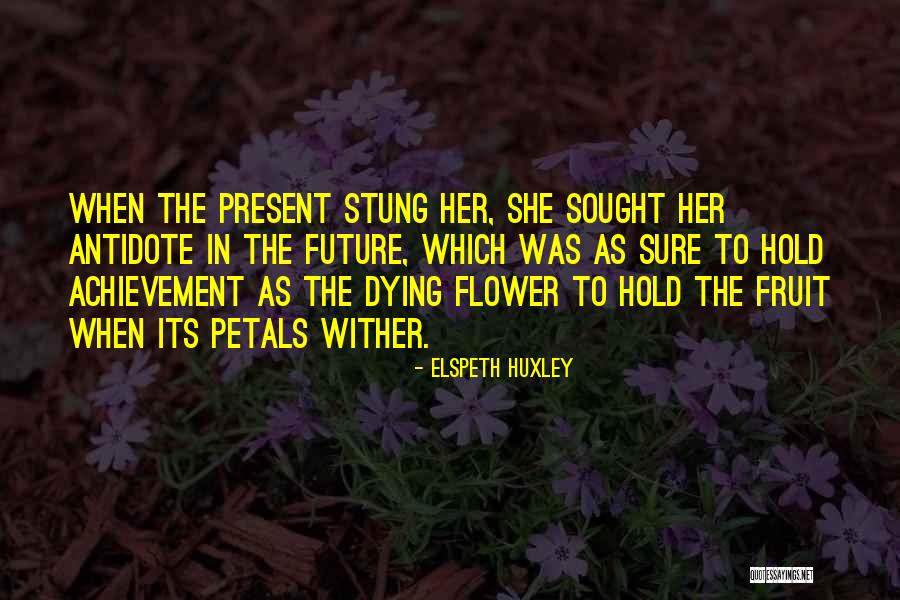 Pastillo Beach Quotes By Elspeth Huxley Pastillo Beach Quotes By Elspeth Huxley