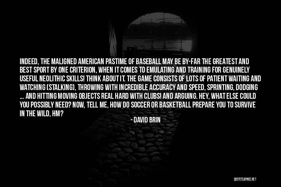 Pastime Baseball Quotes By David Brin Pastime Baseball Quotes By David Brin