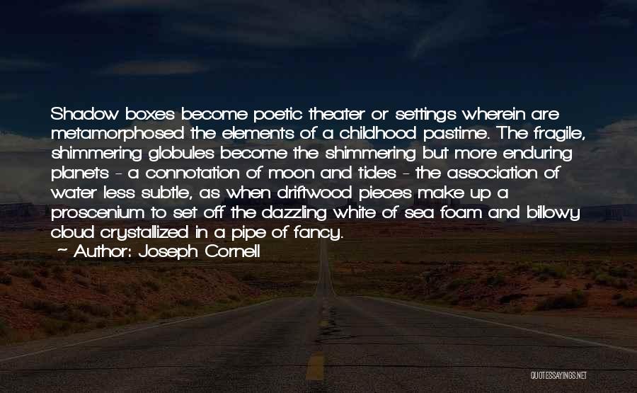 Pastime Quotes By Joseph Cornell