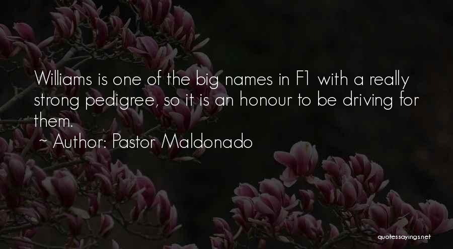 Pastor Maldonado Quotes 801418