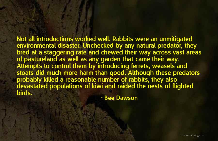 Pastosa Quotes By Bee Dawson Pastosa Quotes By Bee Dawson