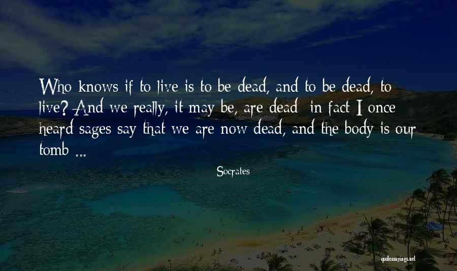 Pastrami Queen Quotes By Socrates Pastrami Queen Quotes By Socrates