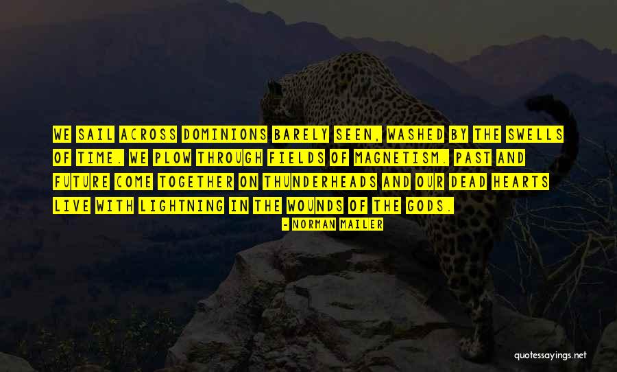 Pasturage Plant Quotes By Norman Mailer Pasturage Plant Quotes By Norman Mailer