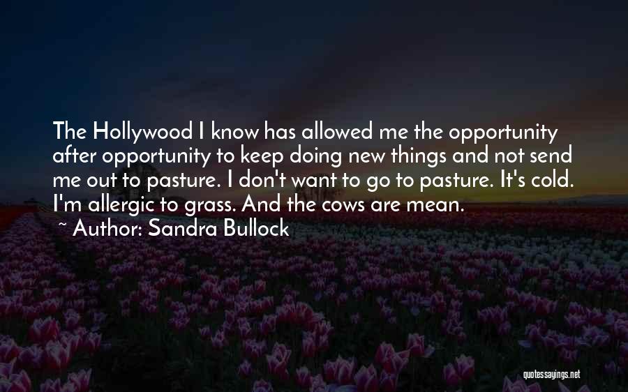 Pasture New Quotes By Sandra Bullock