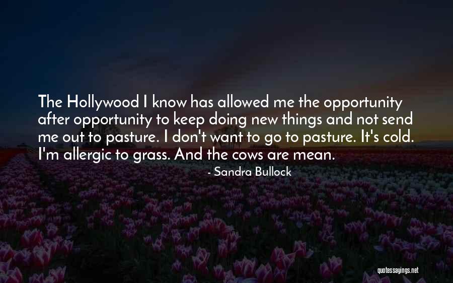 Pasture New Quotes By Sandra Bullock