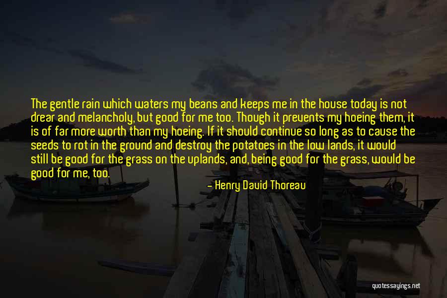 Pasurite Quotes By Henry David Thoreau Pasurite Quotes By Henry David Thoreau