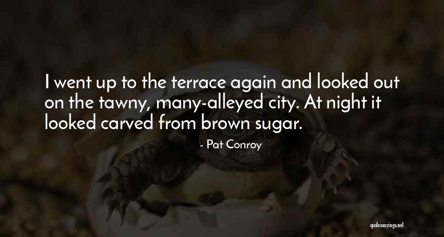 Pat Conroy Quotes 1044442