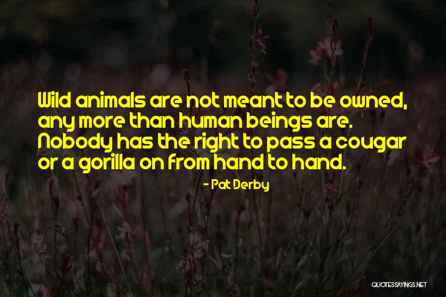 Pat Derby Quotes 954059 Pat Derby Quotes 954059