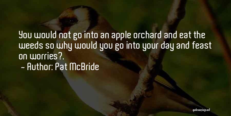 Pat McBride Quotes 2269189