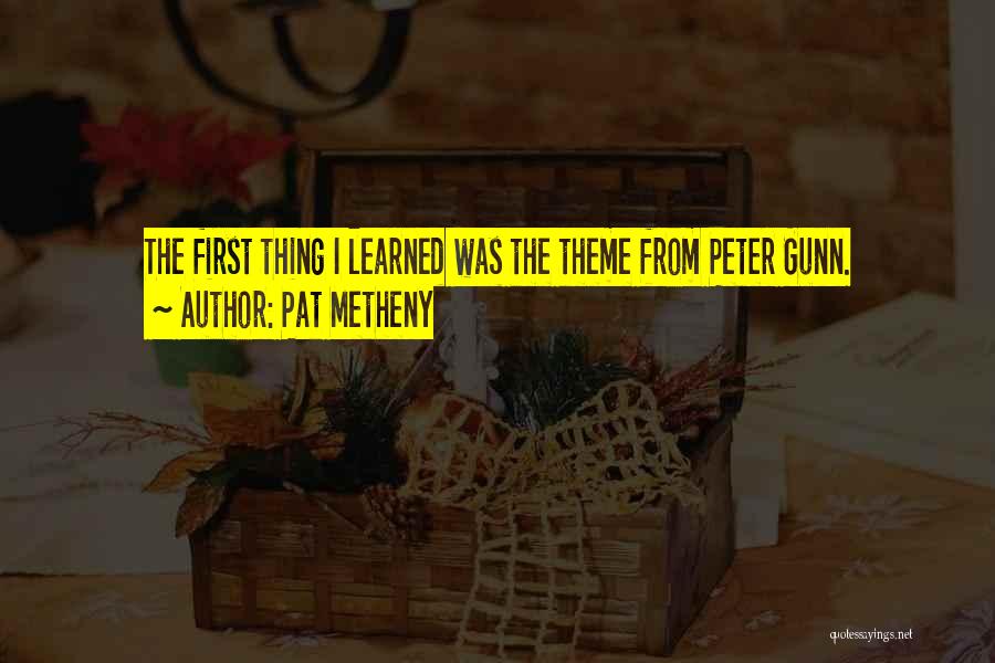 Pat Metheny Quotes 1730821