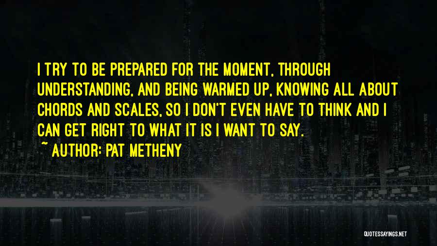 Pat Metheny Quotes 191371