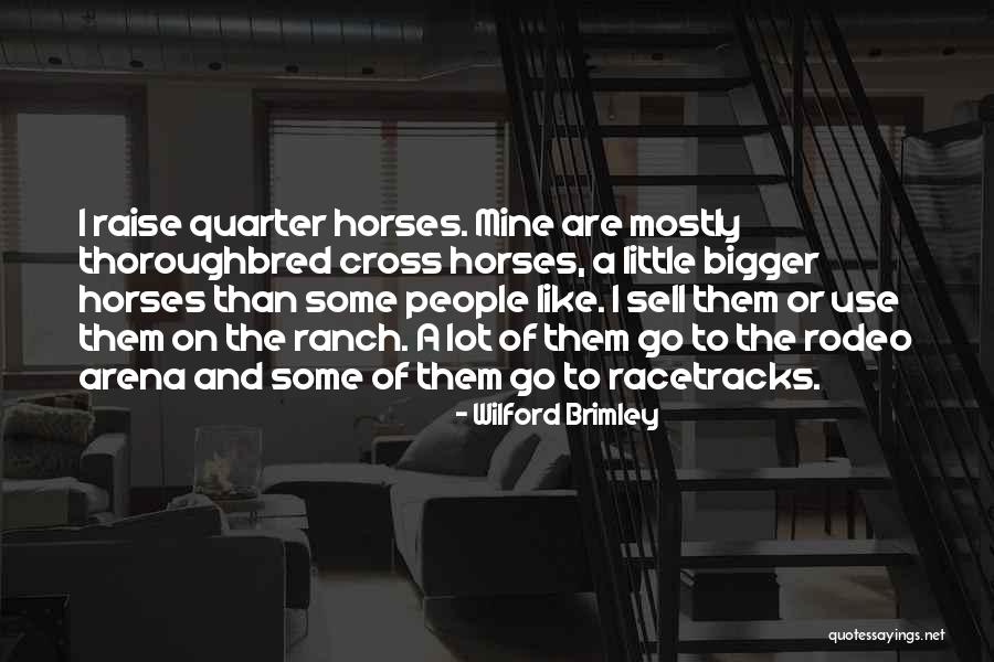 Pat Mullins Quotes By Wilford Brimley Pat Mullins Quotes By Wilford Brimley