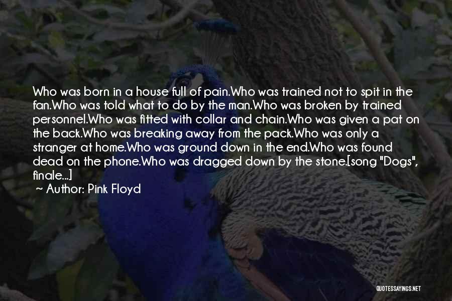 Pat On The Back Quotes By Pink Floyd