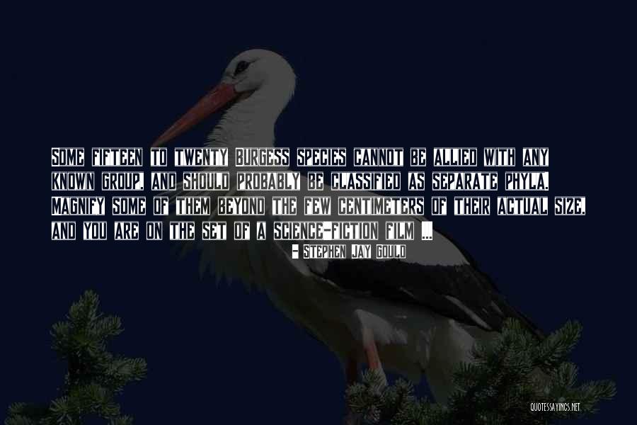 Patama Sa Nililigawan Quotes By Stephen Jay Gould Patama Sa Nililigawan Quotes By Stephen Jay Gould