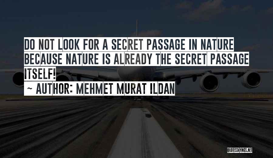 Patani Quotes By Mehmet Murat Ildan