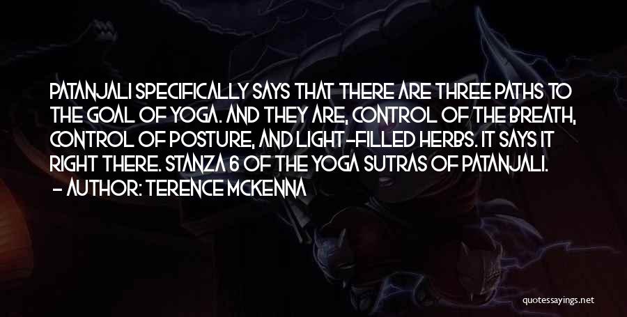 Patanjali Best Quotes By Terence McKenna