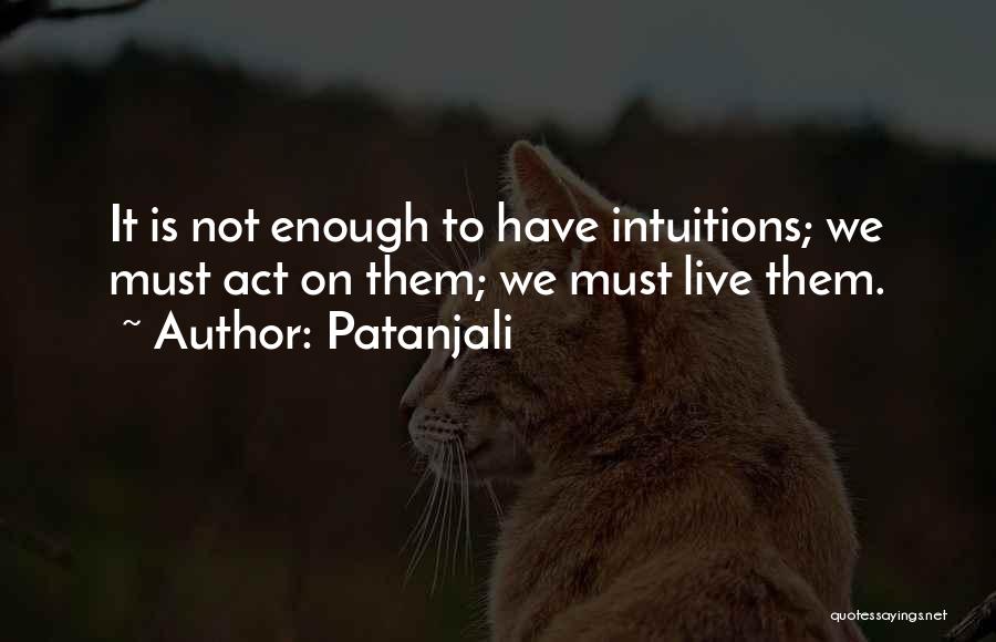 Patanjali Quotes 226375