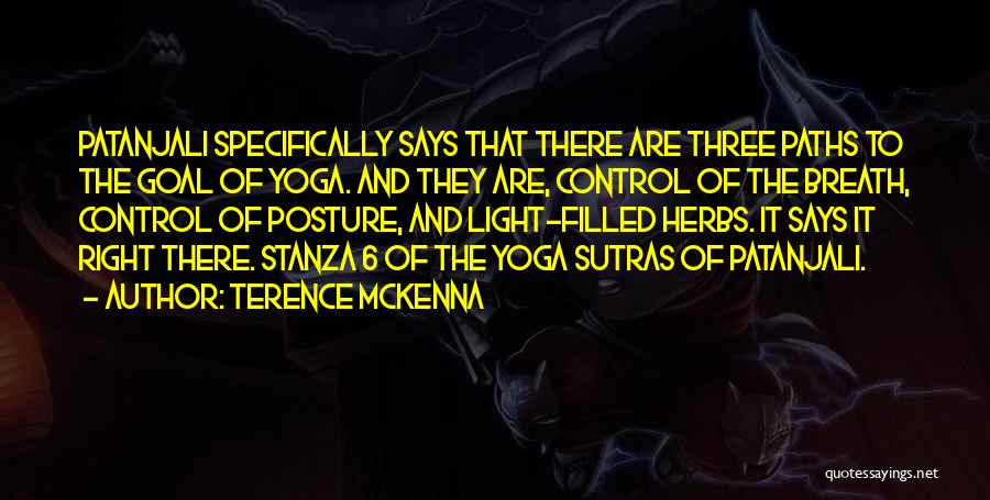 Patanjali Sutras Quotes By Terence McKenna