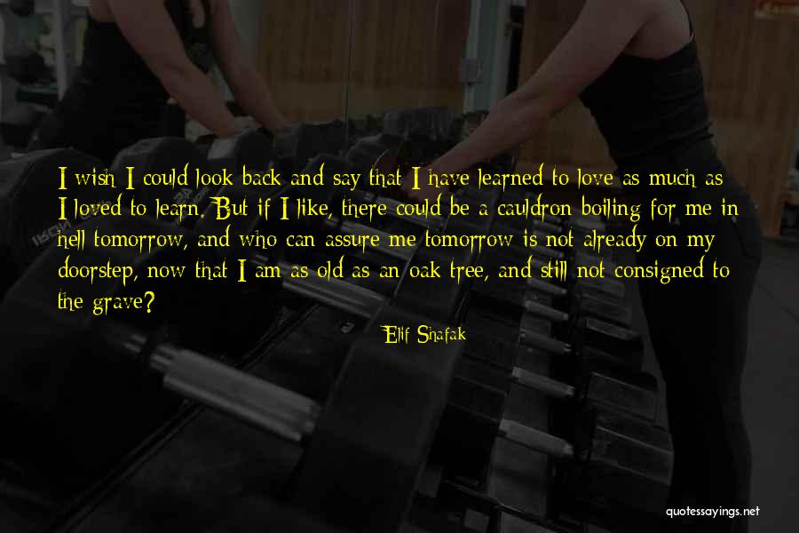 Patatas Bravas Quotes By Elif Shafak Patatas Bravas Quotes By Elif Shafak