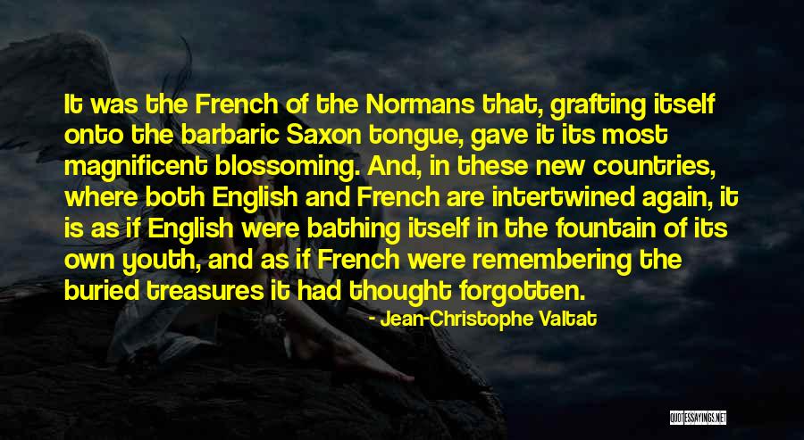 Patauger Quotes By Jean-Christophe Valtat Patauger Quotes By Jean-Christophe Valtat