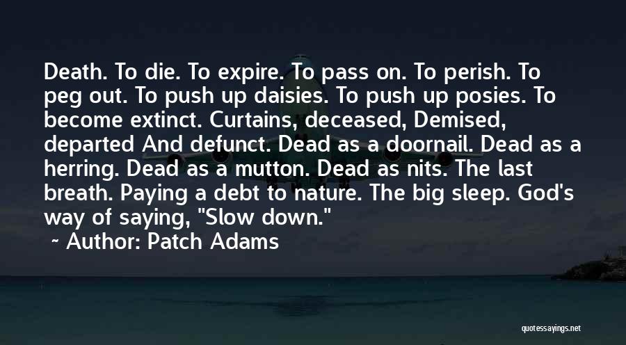 Patch Adams Quotes 1169226