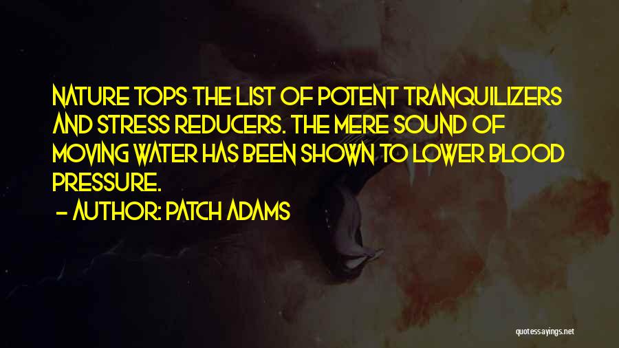 Patch Adams Quotes 1260921