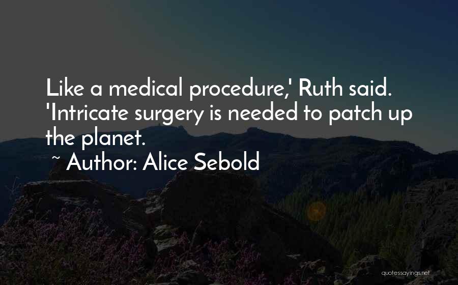 Patch Up Quotes By Alice Sebold