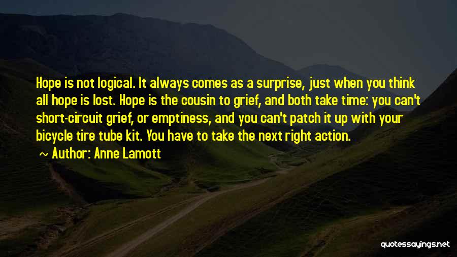 Patch Up Quotes By Anne Lamott