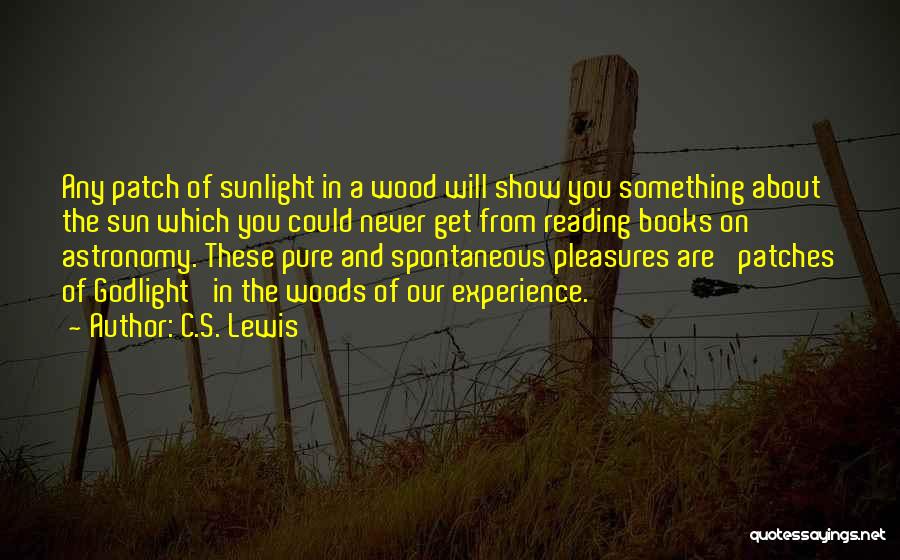 Patches Of Godlight Quotes By C.S. Lewis