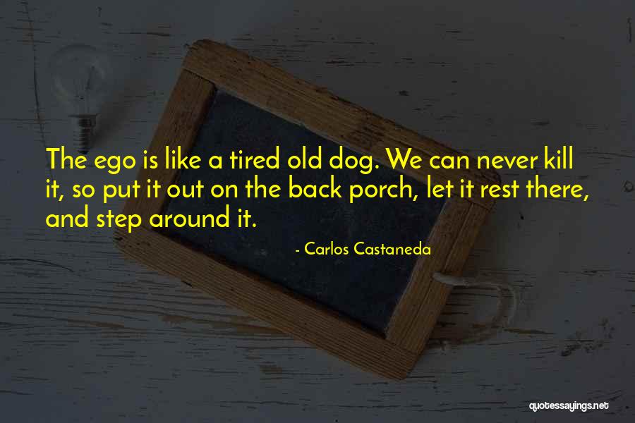 Patchiness On Lungs Quotes By Carlos Castaneda Patchiness On Lungs Quotes By Carlos Castaneda