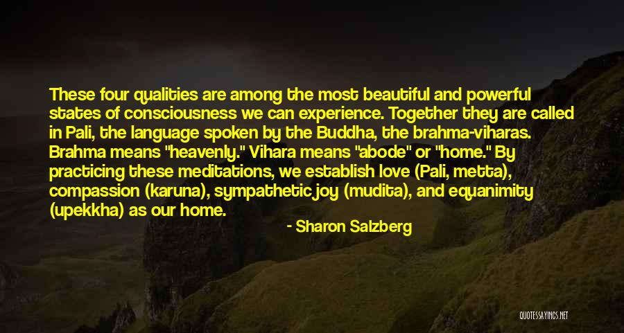 Patching A Tire Quotes By Sharon Salzberg Patching A Tire Quotes By Sharon Salzberg