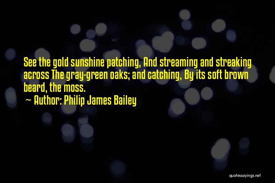 Patching Things Up Quotes By Philip James Bailey