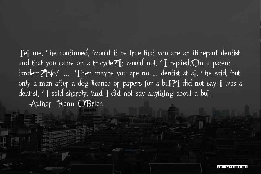 Patent Quotes By Flann O'Brien