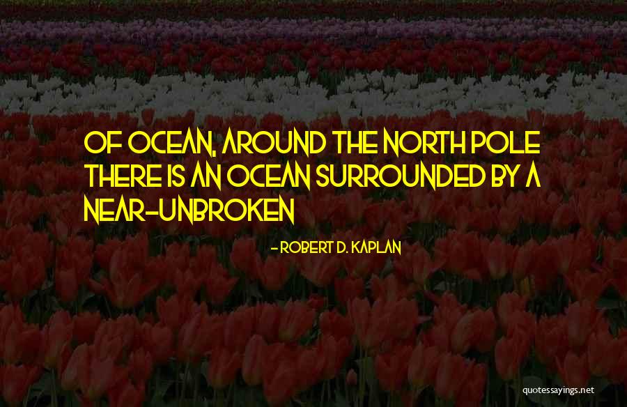 Patentable Ideas Quotes By Robert D. Kaplan Patentable Ideas Quotes By Robert D. Kaplan