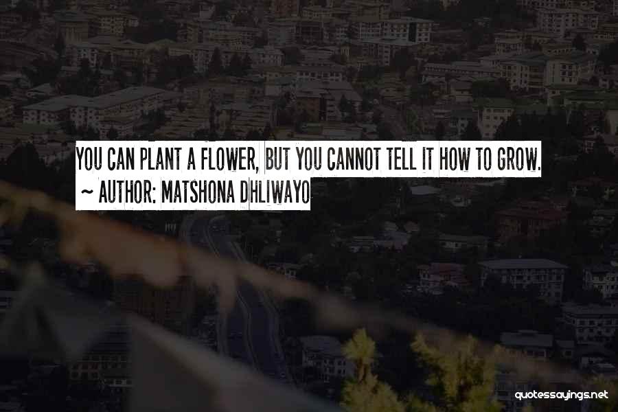 Pater Damiaan Quotes By Matshona Dhliwayo