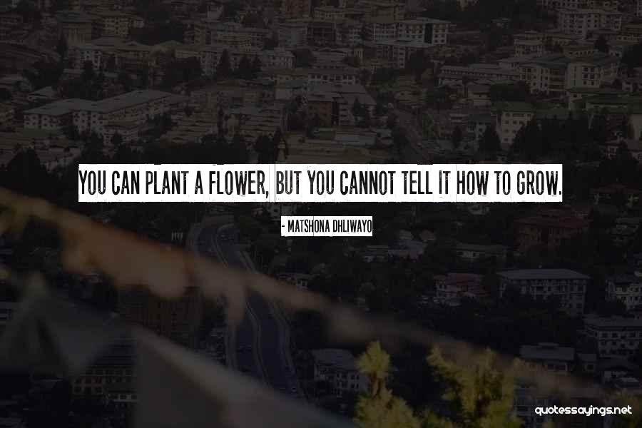Pater Damiaan Quotes By Matshona Dhliwayo Pater Damiaan Quotes By Matshona Dhliwayo