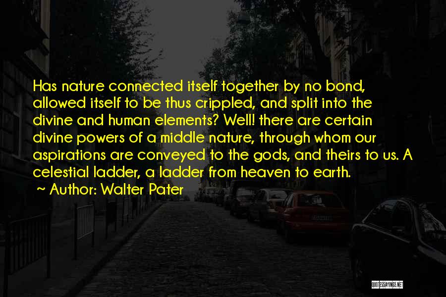 Pater Quotes By Walter Pater