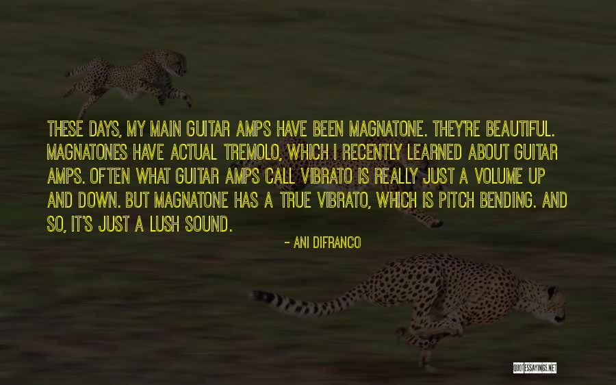 Paterek Brothers Quotes By Ani DiFranco Paterek Brothers Quotes By Ani DiFranco