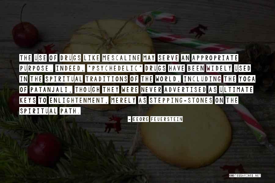 Path Of Enlightenment Quotes By Georg Feuerstein Path Of Enlightenment Quotes By Georg Feuerstein