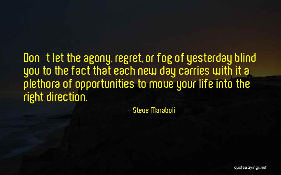 Path Success Quotes By Steve Maraboli Path Success Quotes By Steve Maraboli