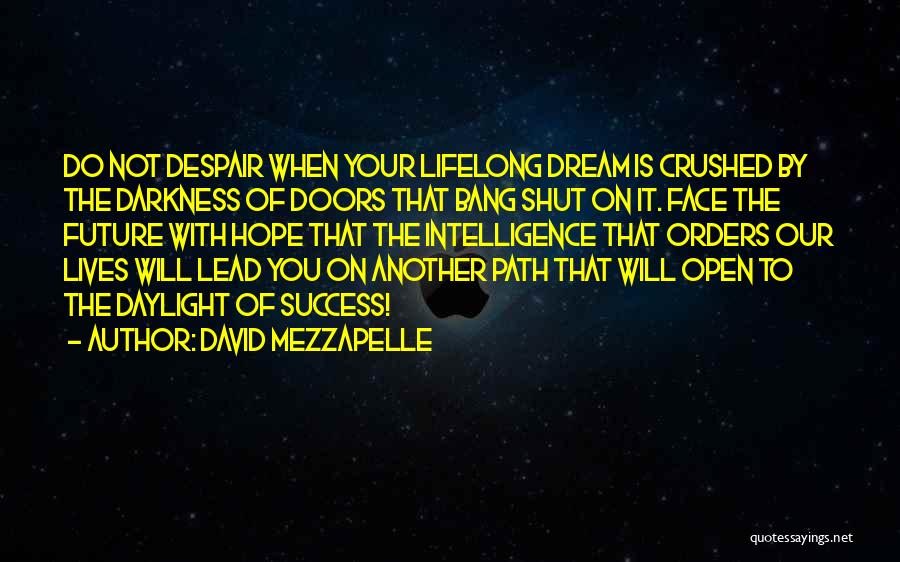 Path To Darkness Quotes By David Mezzapelle
