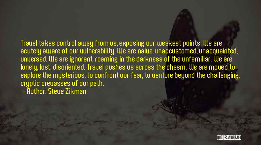 Path To Darkness Quotes By Steve Zikman
