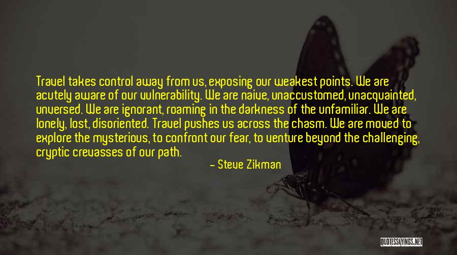 Path To Darkness Quotes By Steve Zikman