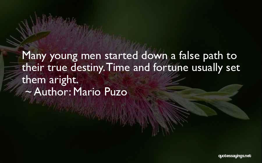 Path To Destiny Quotes By Mario Puzo